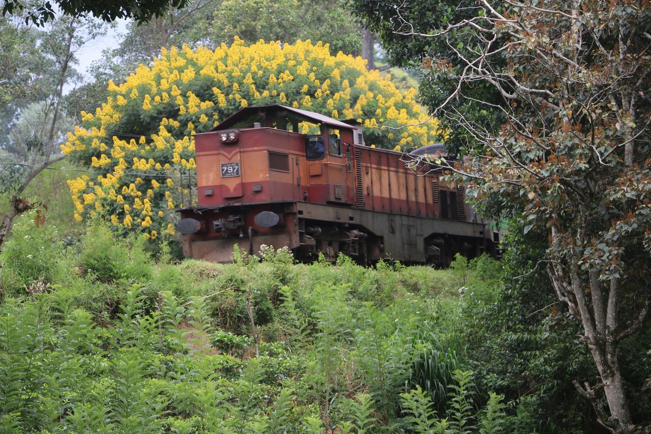 Train View Chalet Bandarawela Exterior foto