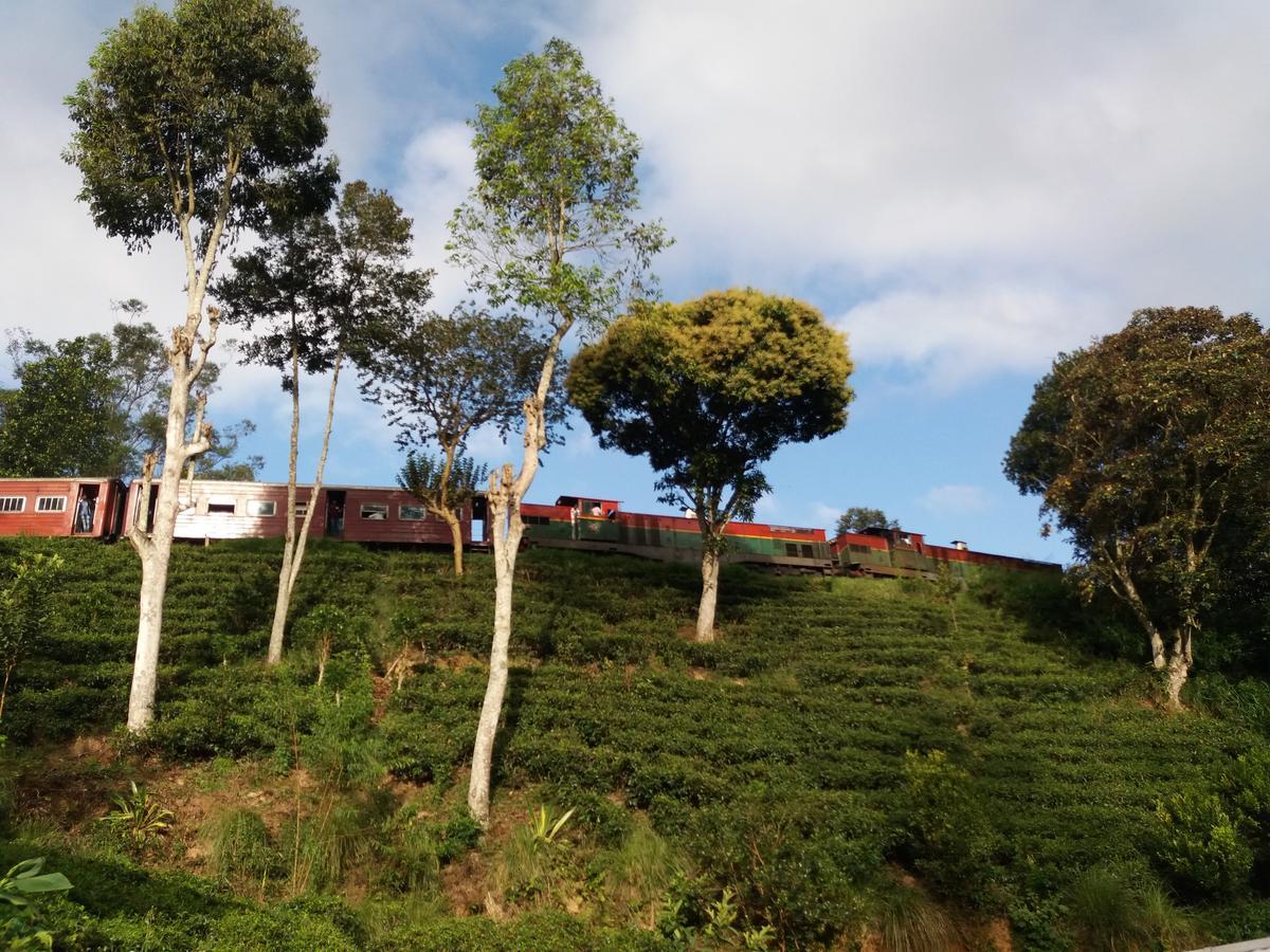 Train View Chalet Bandarawela Exterior foto